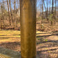 French 105mm Brass Casing - *INERT Relic*